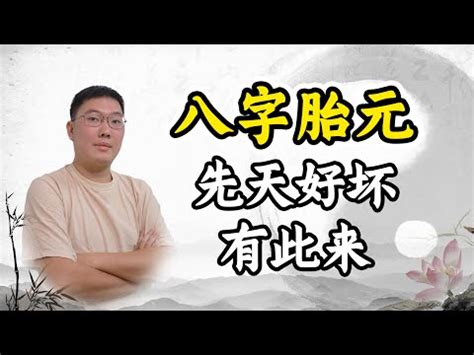 先天胎元後天息元|什么是胎元八字？與生辰八字有何區別？